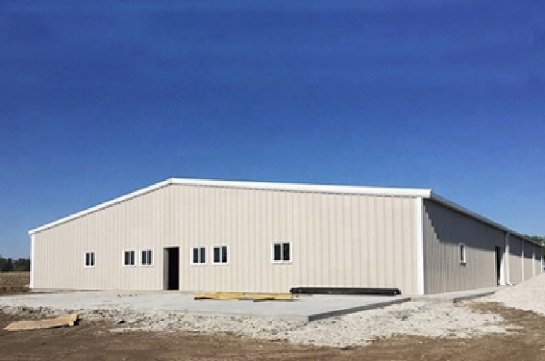 Low cost industrial shed light steel structure