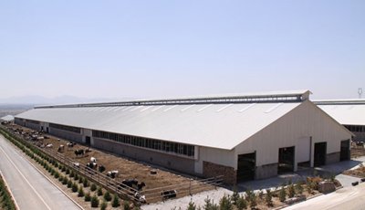 Fast Built Prefab Steel Sheep Farm Barn