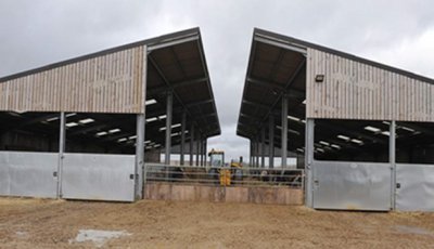 Prefab Steel Cattle Farm House