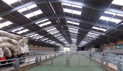 High Quality Prefab Steel Sheep Farm Shed