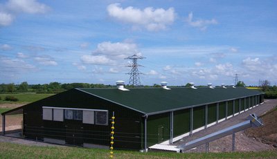 Low Price Prefab Steel Structure Poultry Farm House for 10000 Chickens