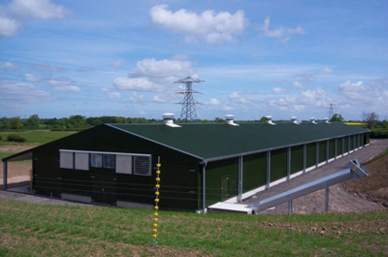 Low Price Prefab Steel Structure Poultry Farm House for 10000 Chickens