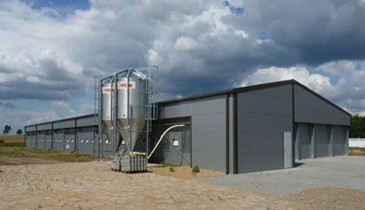 Fast Build Prefab Poultry House