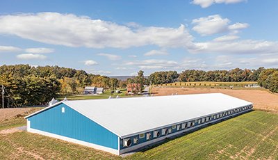 Cheap Prefab Poultry Farm Shed Chicken House in Philippines