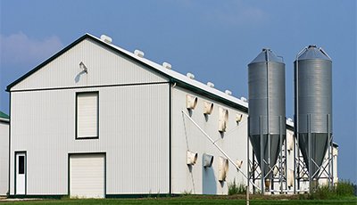 Prefab Steel Structure Two Storey Poultry Farm Broiler House