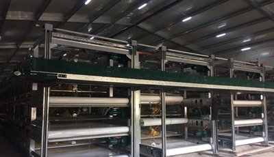 Automatic Control Prefab Steel Structure Layer House Farm Shed