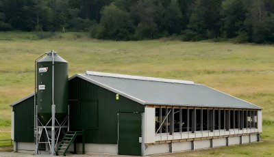 Prefab Steel Structure Cattle Farm Barn