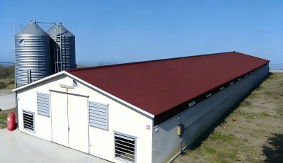 Prefab Steel Structure Two Storey Poultry Farm Broiler House