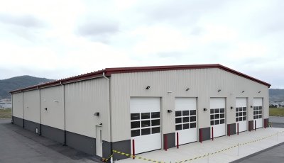 Low cost industrial shed light steel structure