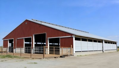 Prefab Steel Structure Cow/Dairy Farm House