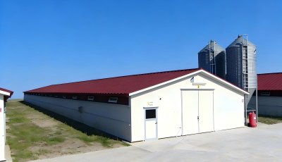 Insulated Prefab Poultry House Shed for Chickens