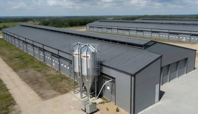 Fast Build Prefab Poultry House