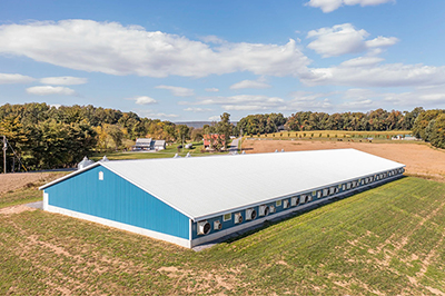 Cheap Prefab Poultry Farm Shed Chicken House in Philippines